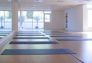 Balanzs Laan van meerdervoort